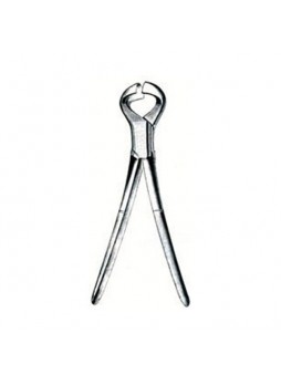 Dehorning Instruments